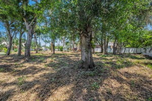 Vacant Lot12