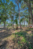 Vacant Lot13