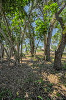 Vacant Lot14