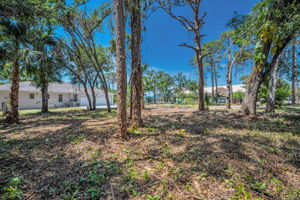 Vacant Lot16