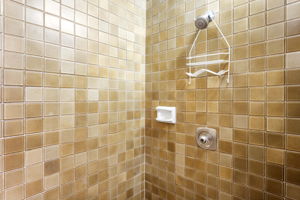 K Bathroom 1b Shower