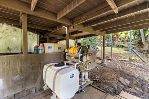 Under Coqui Frog system