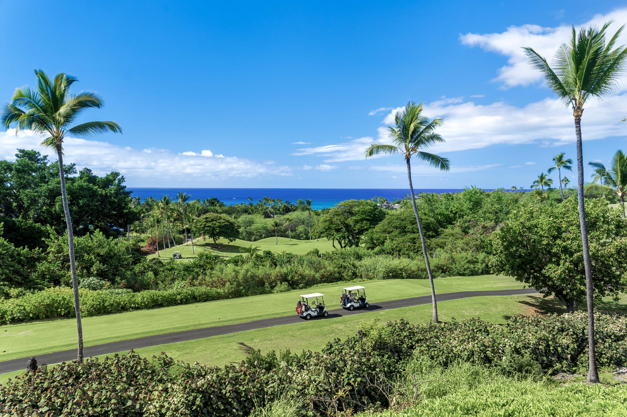 Lanai Views 1