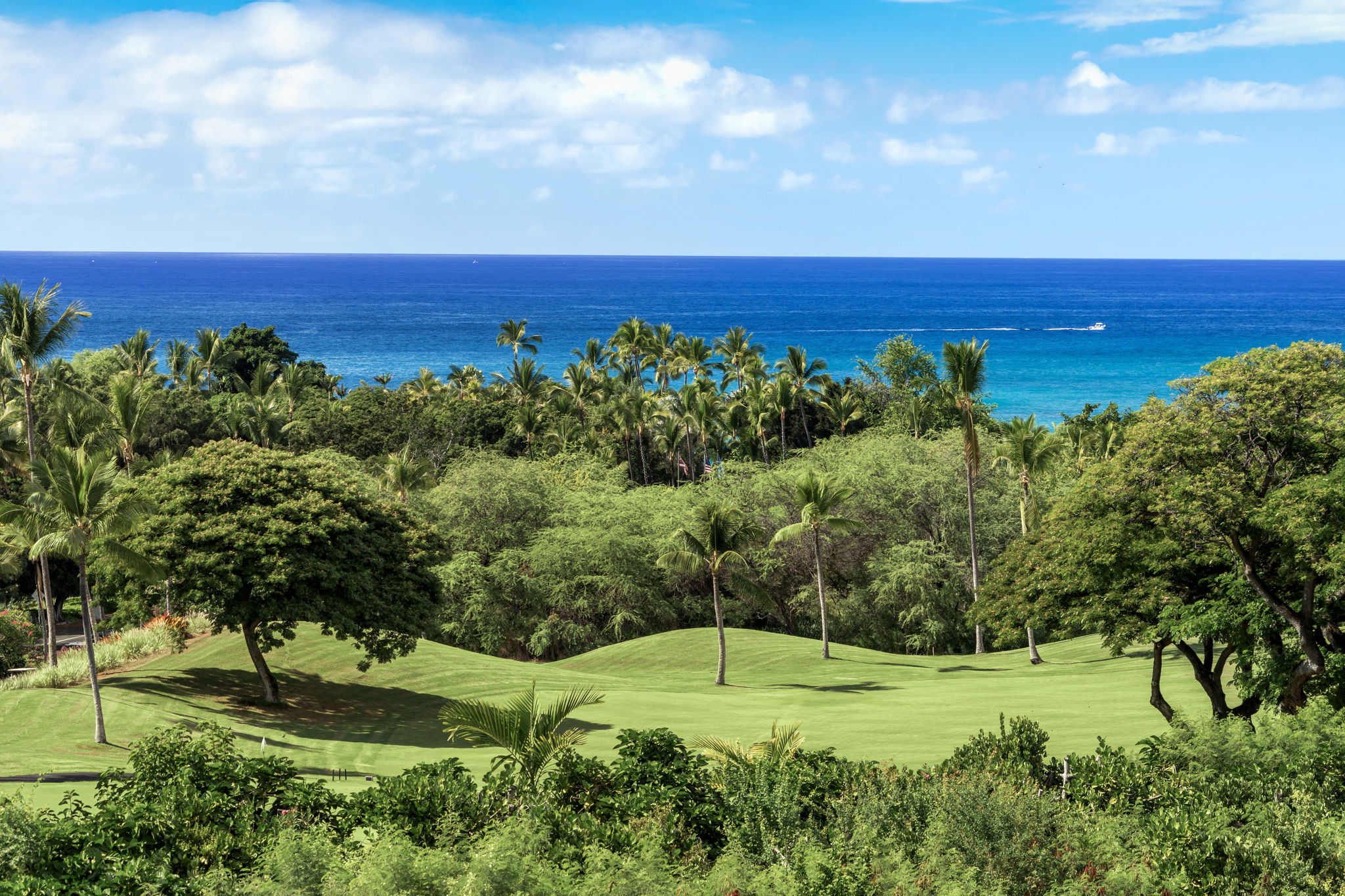 Lanai Views 2