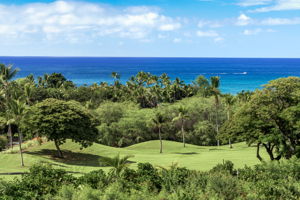 Lanai Views 2