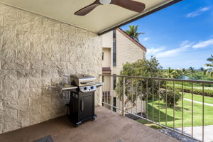 Lanai 6