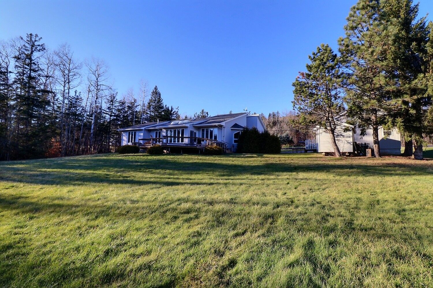  Photo 4