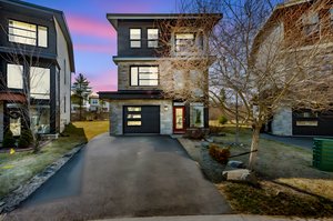 BAS_6917 day to dusk.jpeg