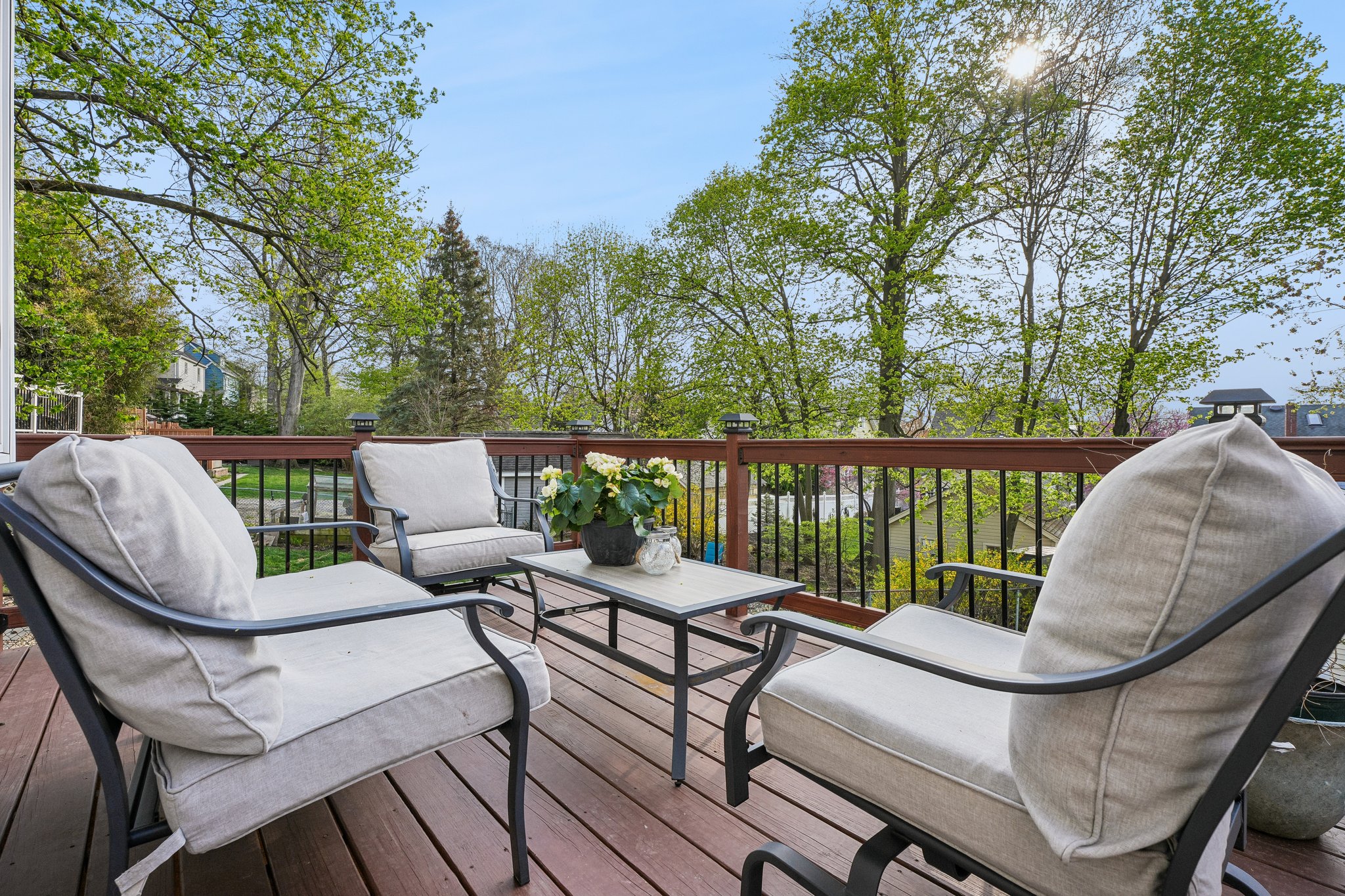 Morning coffee, evening wine, and everything in between - a private perch above it all where the trees do most of the talking.