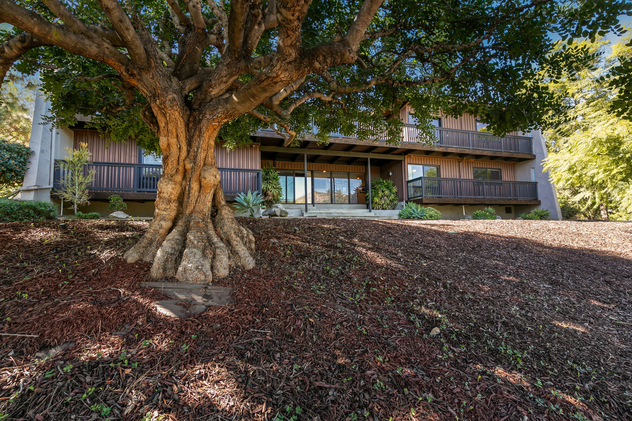 780 Singing Vista Dr-103