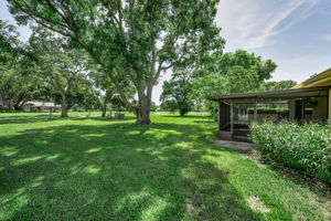 Backyard1