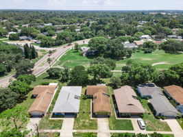 Aerial (19)