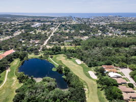 Aerial (5)