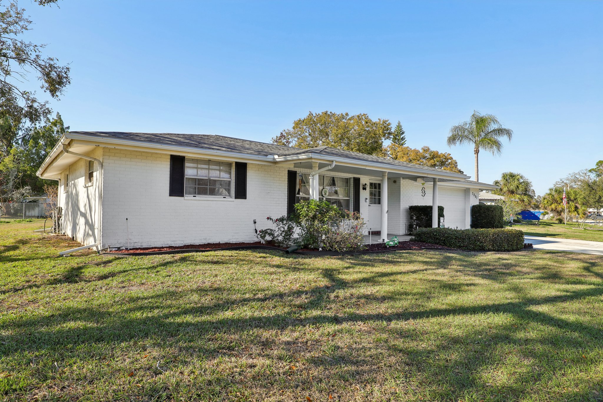 Cherrytree Ln-002.jpg