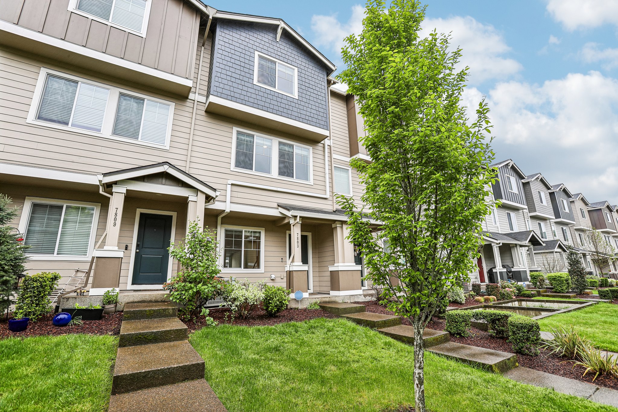 NW Spirea St-S2304-002.jpg