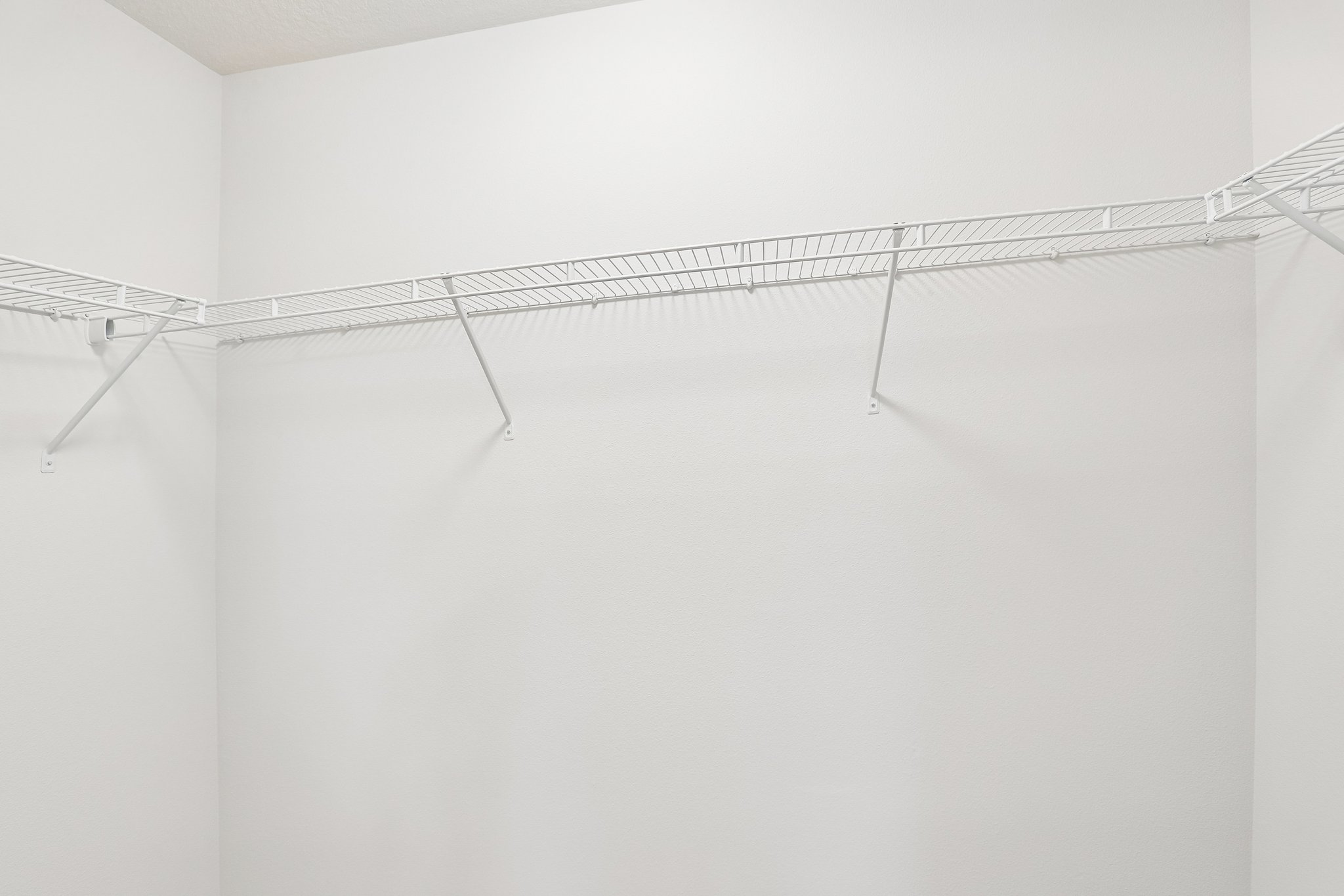 NW Spirea St-S2304-033.jpg