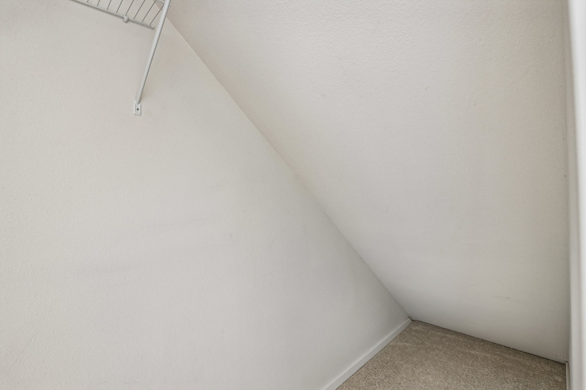 NW Spirea St-S2304-036.jpg