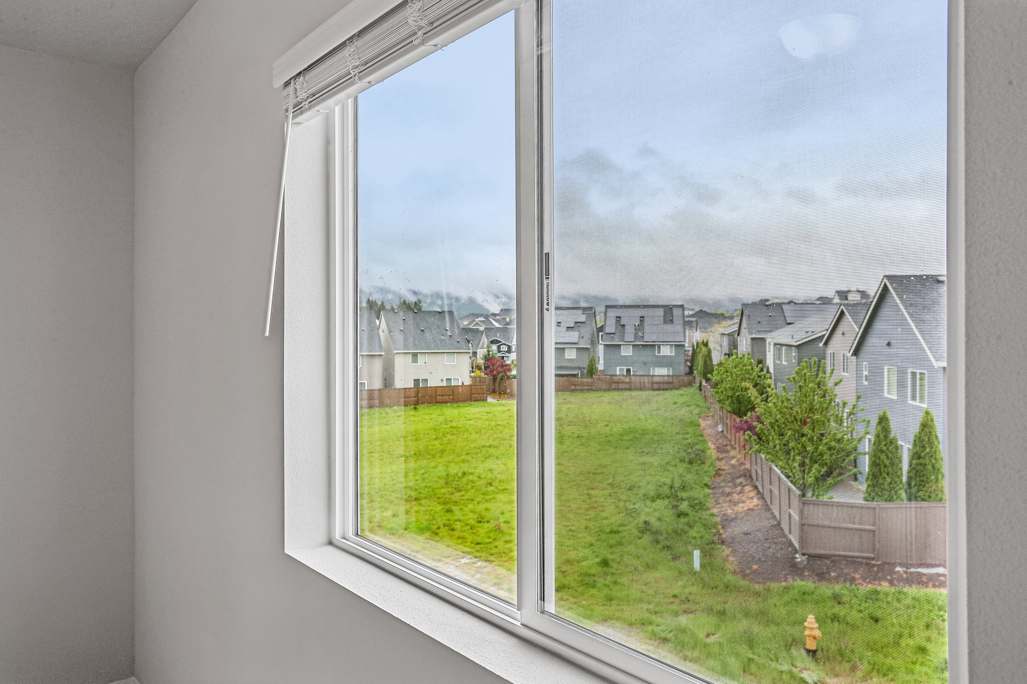 NW Spirea St-S2304-040.jpg