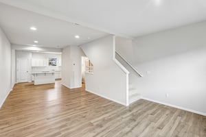 NW Spirea St-S2304-005.jpg