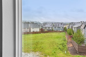 NW Spirea St-S2304-041.jpg