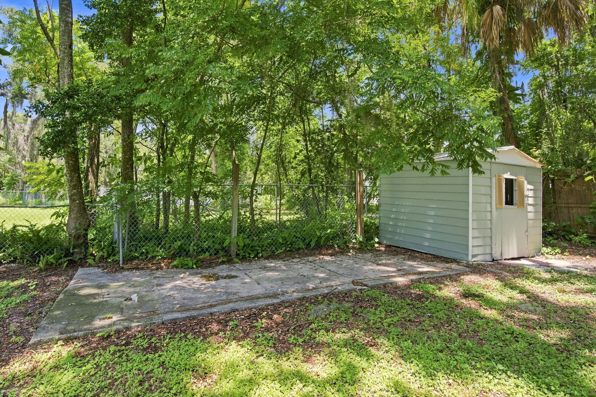 Backyard6
