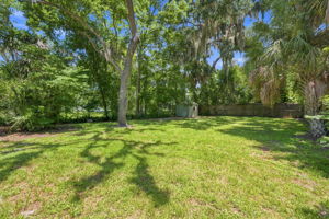 Backyard4