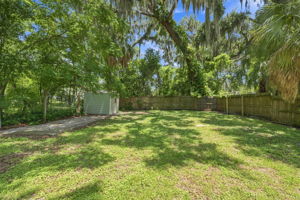 Backyard5