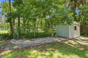 Backyard6