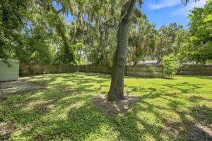 Backyard7