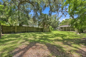 Backyard8