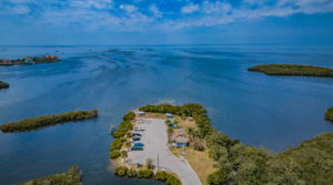 Brasher Park Aerial (2)