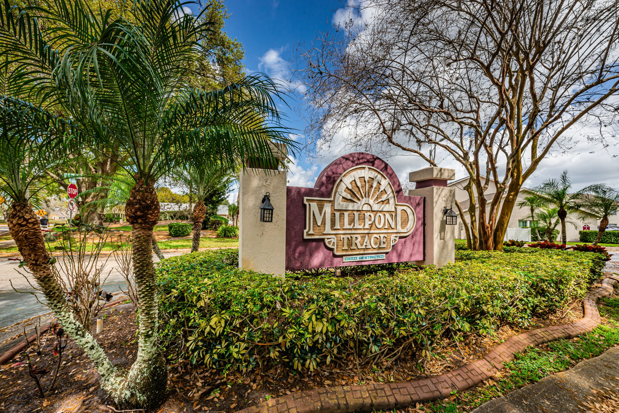 1-Millpond Trace