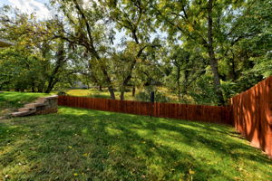  Photo 50