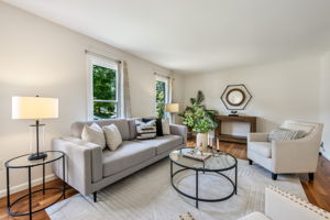Light-filled Living Room