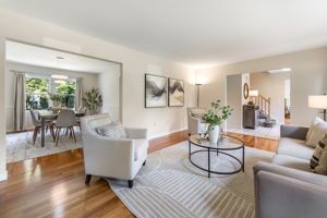 Light-filled Living Room
