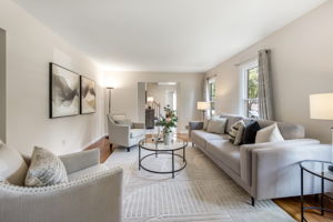 Light-filled Living Room