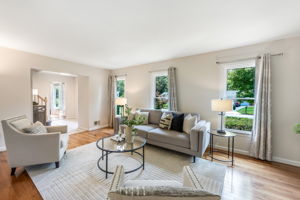 Light-filled Living Room