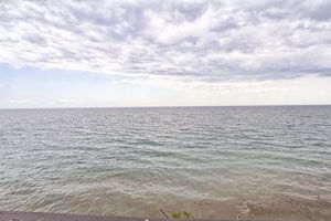  Photo 50