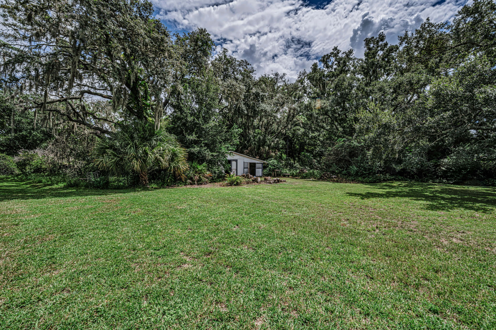Backyard 4