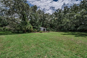 Backyard 4