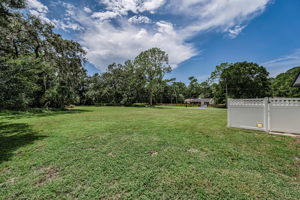 Backyard 5