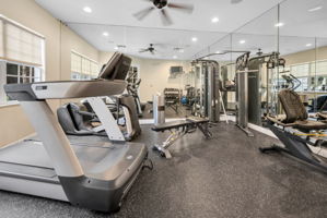 Fitness