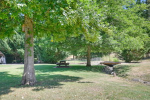  Photo 49