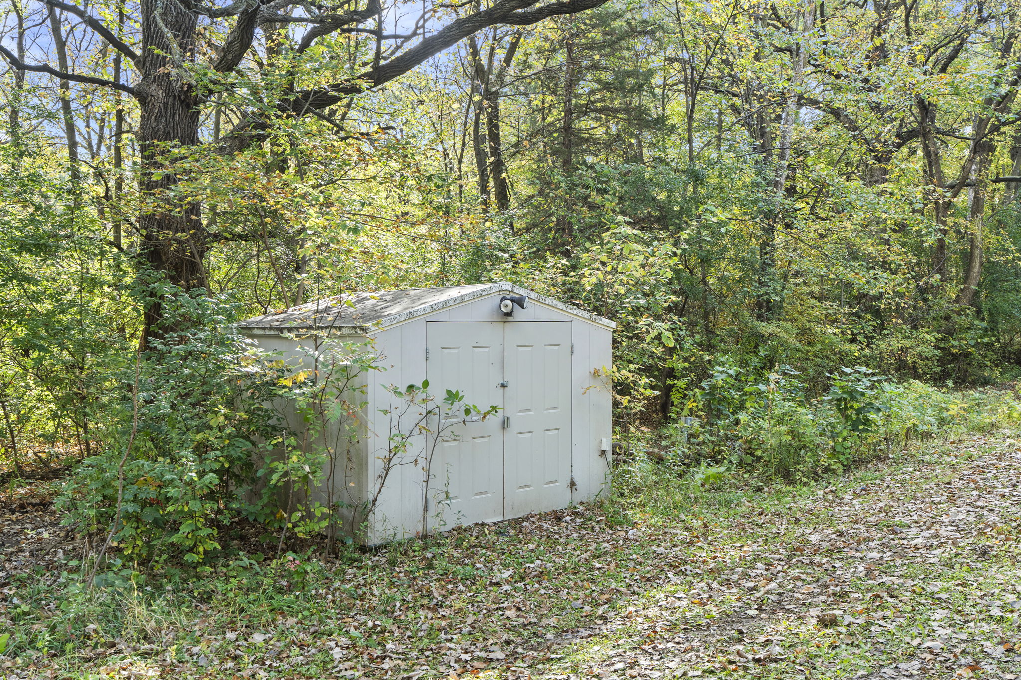  Photo 45
