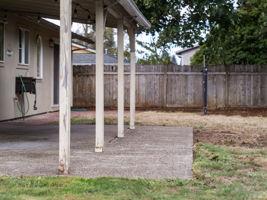  Photo 39