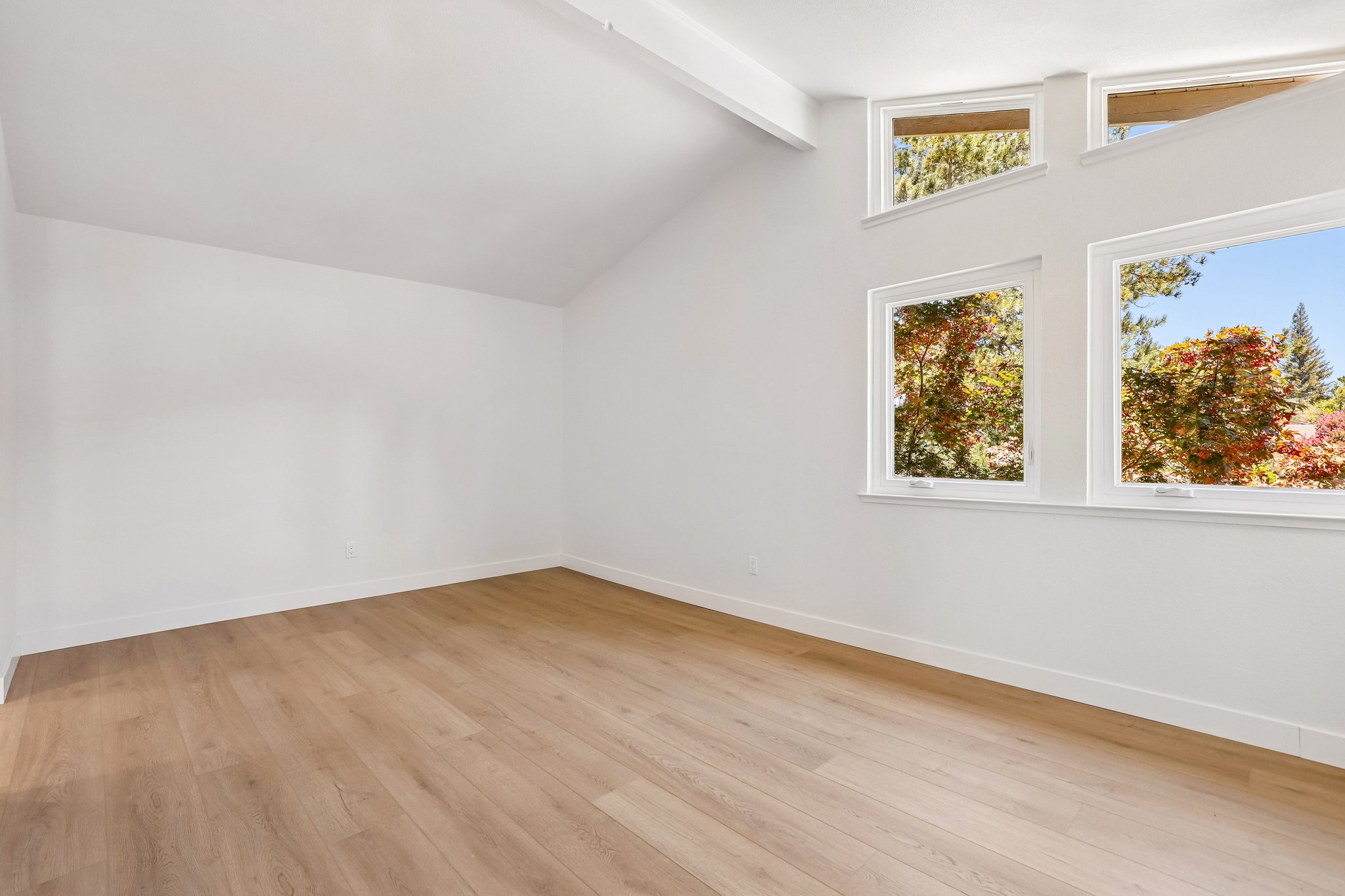 Tamara Dr-S1807-049.jpg