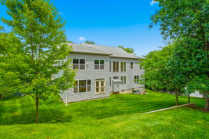 Rear Yard