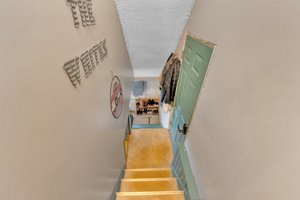  Photo 50