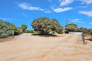  Photo 38