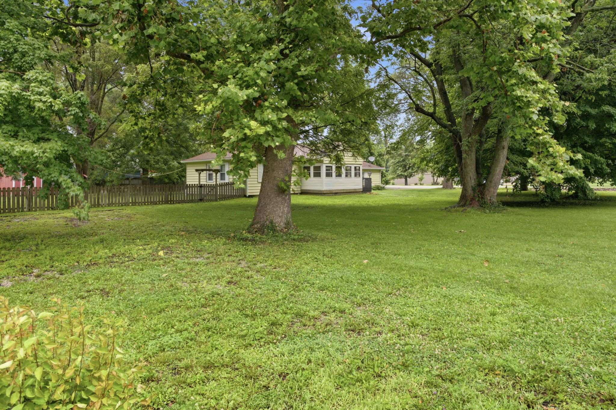  Photo 41
